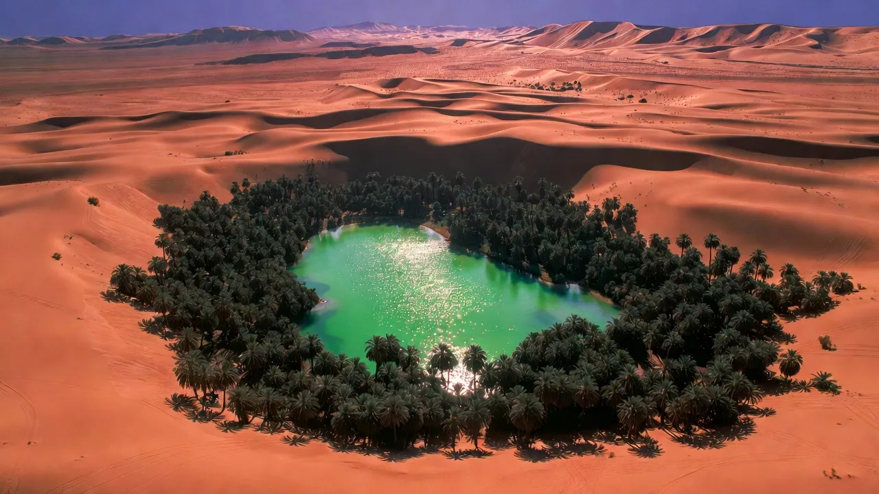 Emerald Oasis